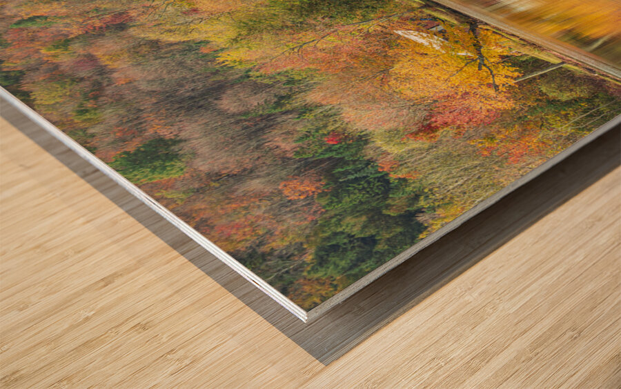 Vermont Cottage Reflection Wood print