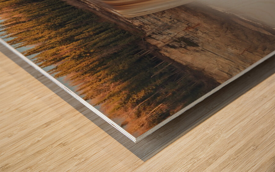 Power and Beauty of Alexandra Wood print