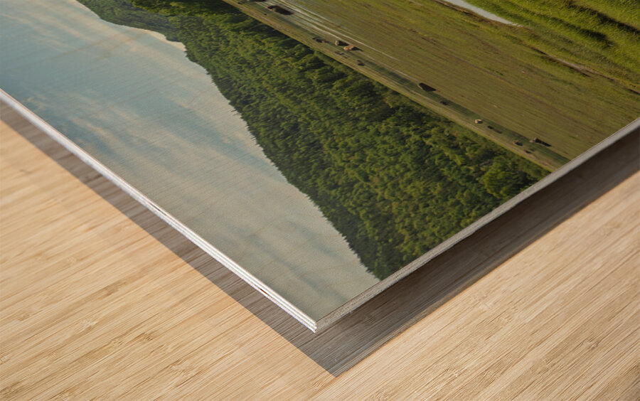 Bic National Park Beauty Wood print