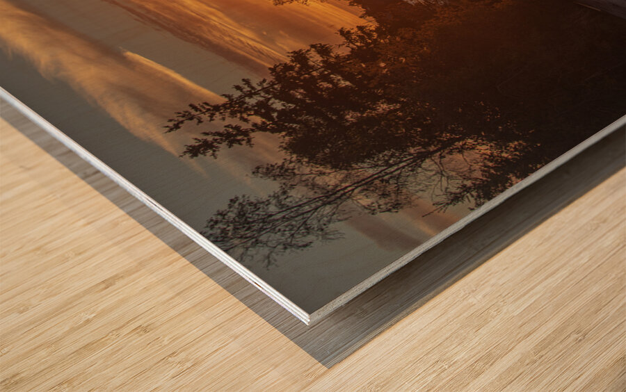 Majesty of the Midnight Sun Wood print