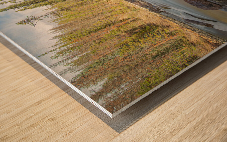 Sunwapta River Beauty Wood print