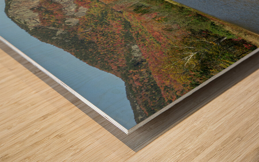 Autumn at Willey Pond Wood print