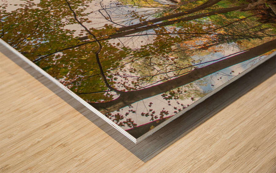 Tannery Hill Bridge Autumn Magic Wood print