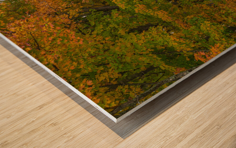 Colebrook Autumn Road Wood print