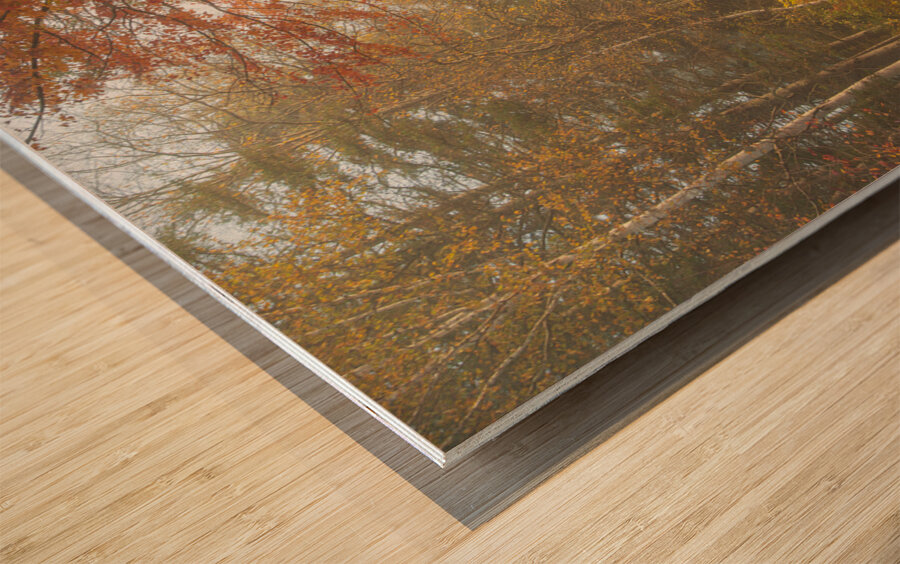 Foggy Morning Autumn Road Wood print