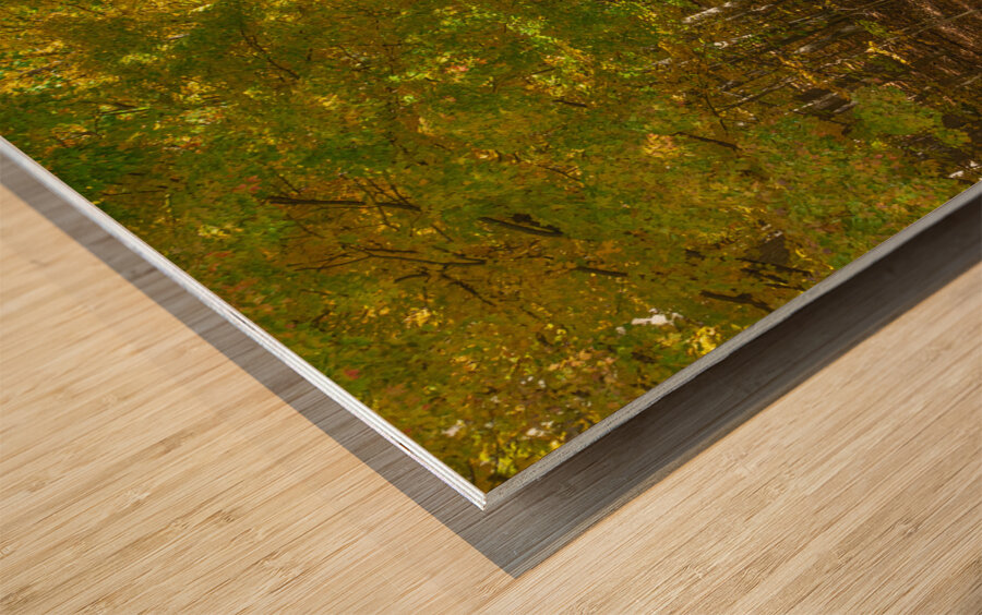 Letchworth Autumn Tree Tunnel Glow Wood print