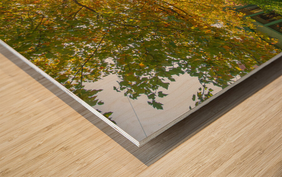 Letchworth Autumn Glow Wood print