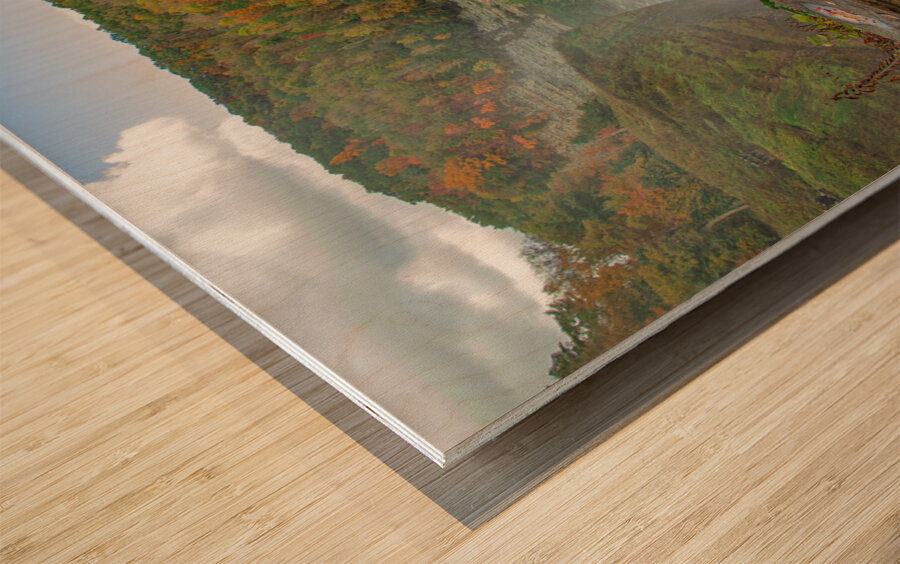 Autumn Gorge Overlook Wood print