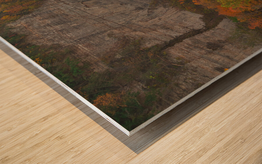 Taughannock Falls Autumn Overlook Wood print
