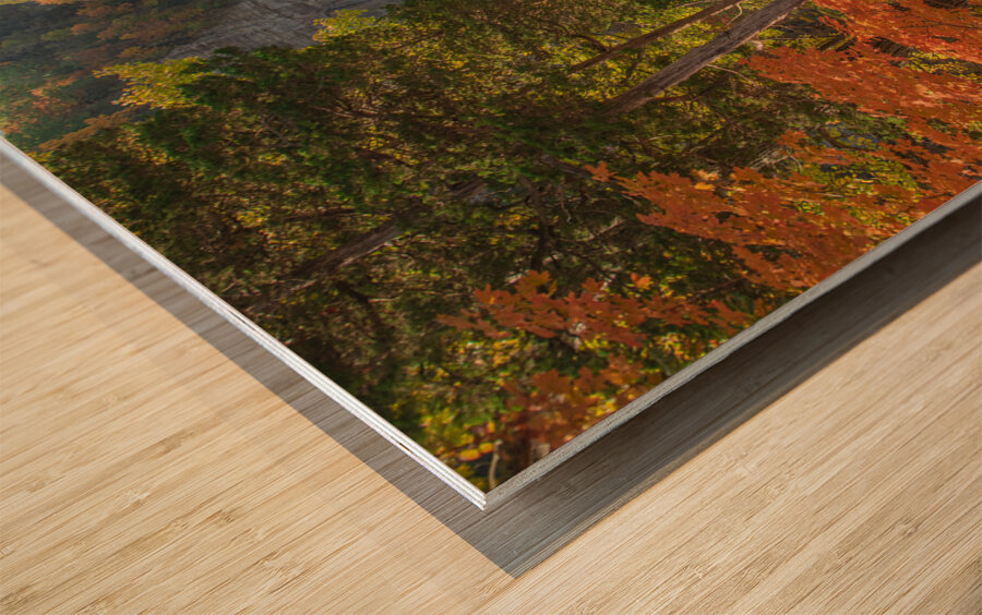 Taughannock Falls Autumn Paradise Wood print